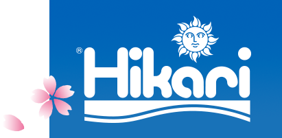 Hikari